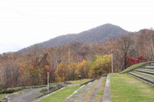 旭山記念公園の紅葉2022年11月3日11月3日10