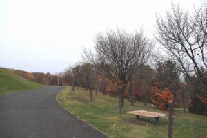 旭山記念公園の紅葉2022年11月3日11月3日9
