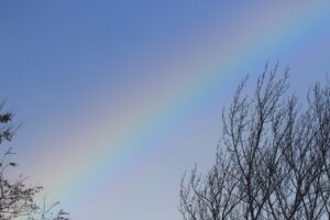 虹2022年11月26日7時50分