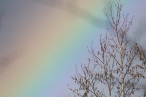 虹2022年11月26日8時14分