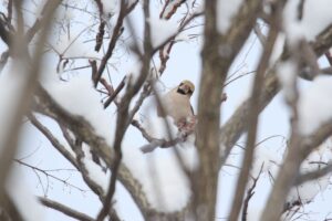 シメ2022年12月16日