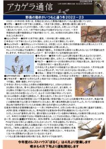 アカゲラ通信2023年2月号A面