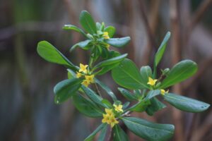 ナニワズ2023年3月24日