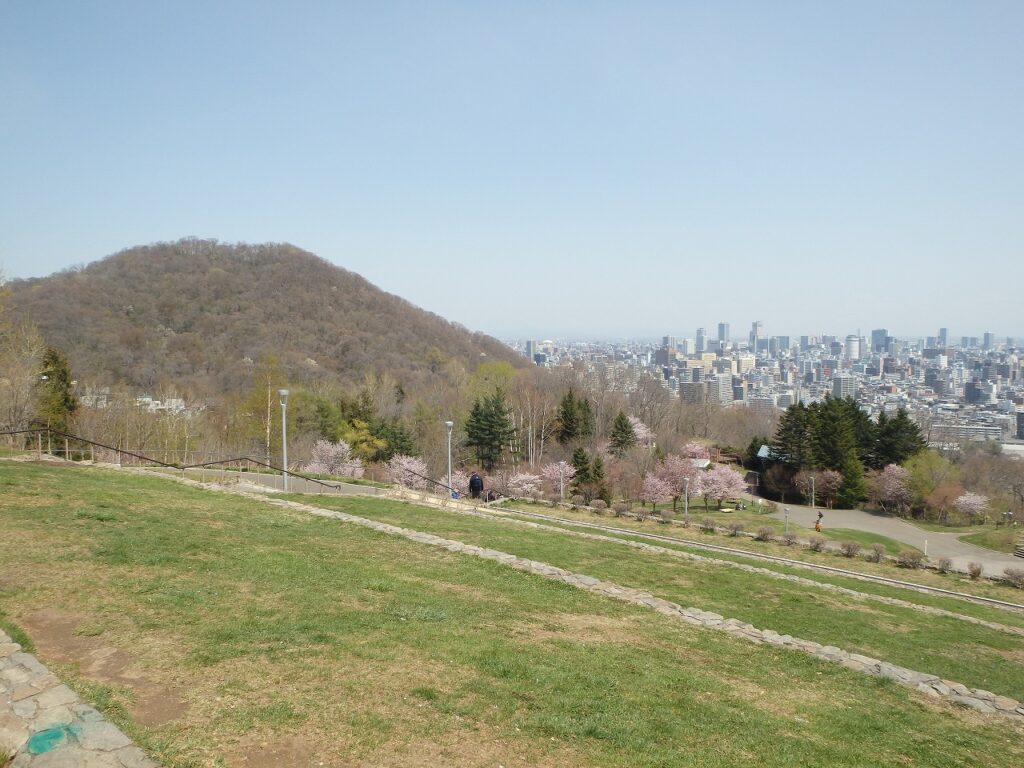 2023年4月25日桜状況 円山と桜並木