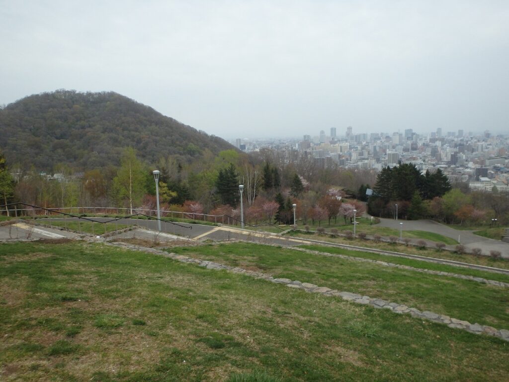 2023年4月28日桜の状況 円山と桜並木