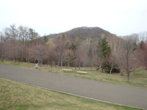 新桜並木と円山