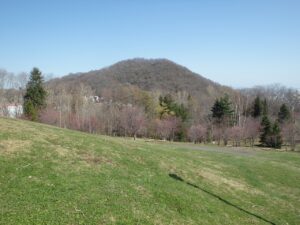 旭山記念公園の桜2023年4月18日4新桜並木と円山