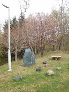 旭山記念公園の桜2023年4月29日8寺田京子句碑