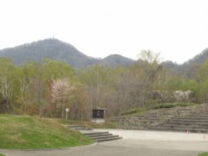 旭山記念公園の桜2023年4月29日9噴水広場と藻岩山