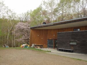 旭山記念公園の桜2023年4月29日15森の家