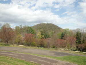 2023年4月30日 円山と新桜並木