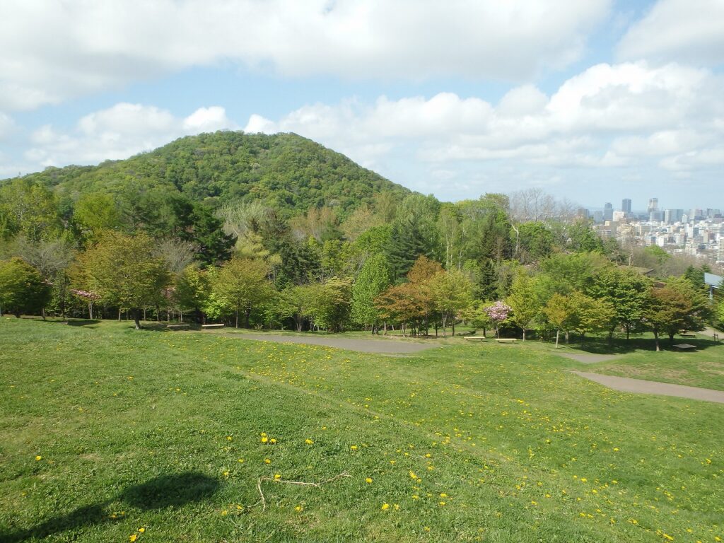 2023年5月11日桜の状況　新桜並木の全景
