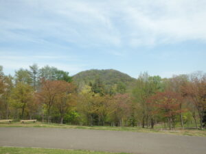 2023年5月3日円山と新桜並木