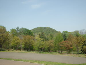 旭山記念公園の桜2023年5月5日円山と新桜並木の桜の様子