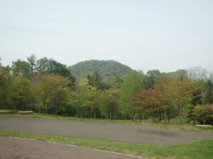 2023年5月6日新桜並木と円山