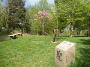 2023年5月10日友愛の小径碑近くの八重桜１