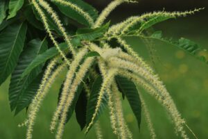 クリ2023年7月8日