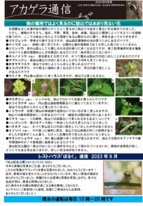 アカゲラ通信2023年8月号表