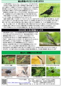 アカゲラ通信2023年8月号裏