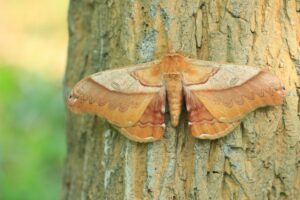 クスサン2023年9月1日