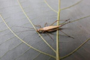 カンタン2023年9月22日