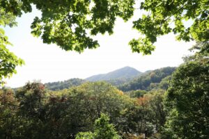 旭山記念公園紅葉情報2023年10月11日11山紅葉坂から