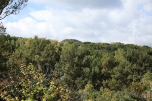 旭山記念公園紅葉情報2023年10月11日12西側の山々