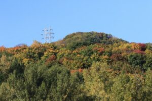 旭山紅葉情報2023年10月２１日8幌見峠方面鉄塔と木々の色づき