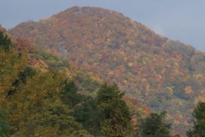 旭山紅葉情報2023年10月28日4三角山