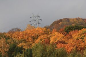 旭山紅葉情報2023年10月28日5幌見峠方面の鉄塔