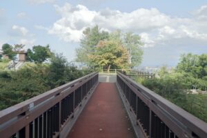 旭山記念公園紅葉情報2023年10月1日2アーチ橋から展望台一本桜