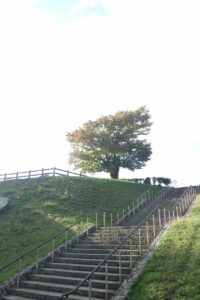 旭山記念公園紅葉情報2023年10月1日12展望台一本桜と階段