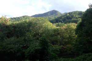 旭山記念公園紅葉情報2023年10月1日9藻岩山を望む