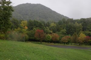 旭山紅葉情報2023年10月6日4円山と新桜並木