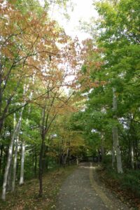 旭山紅葉情報2023年10月14日10記念樹の森