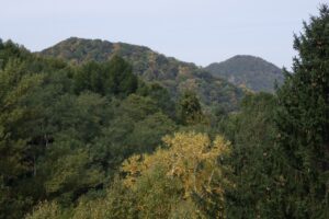 旭山紅葉情報2023年10月14日7神社山と三角山