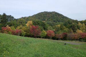 旭山紅葉情報2023年10月14日2円山と新桜並木