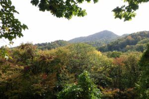 旭山紅葉情報2023年10月14日9山紅葉坂から望む藻岩山