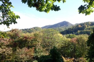旭山記念公園紅葉情報2023年10月15日10山紅葉坂から藻岩山を望む