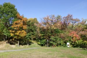 旭山記念公園紅葉情報2023年10月15日11森の家前広場