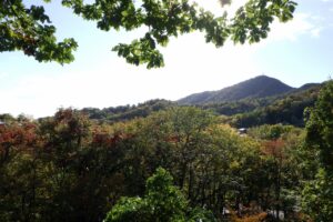 旭山紅葉情報2023年10月18日16山紅葉坂から藻岩山を望む