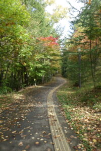 森の家から第一駐車場への散策路の紅葉