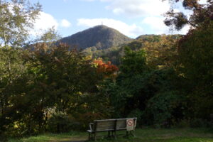 森の家前からの藻岩山