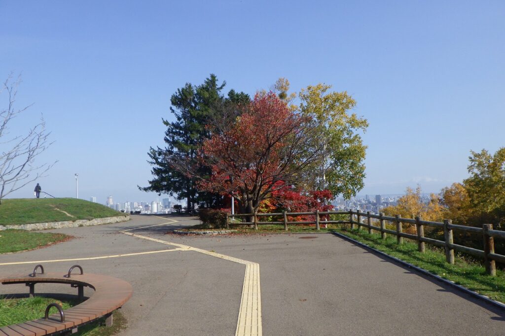 2023年10月26日紅葉の状況（展望台一本桜）