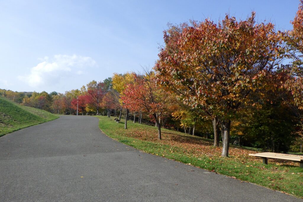 2023年10月26日紅葉の状況2