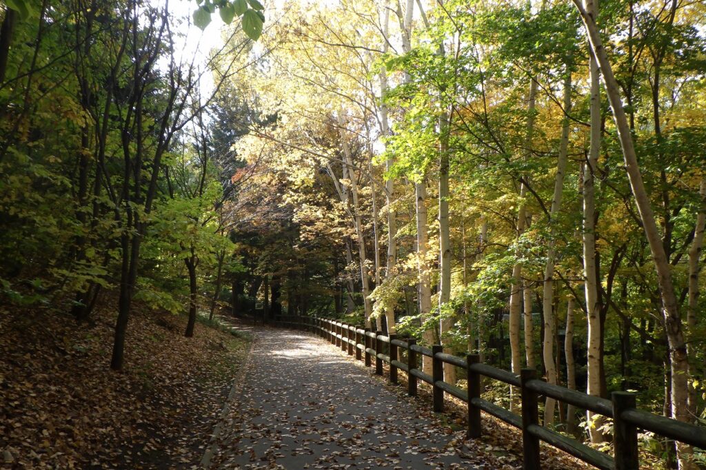 2023年10月26日紅葉の状況3