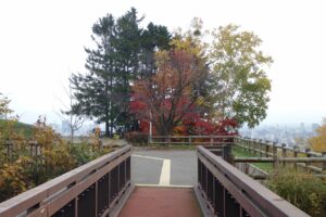 旭山紅葉情報2023年10月27日2展望台一本桜アーチ橋より