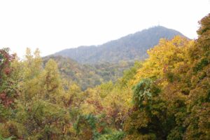 旭山紅葉情報2023年10月27日18第1駐車場から藻岩山を望む