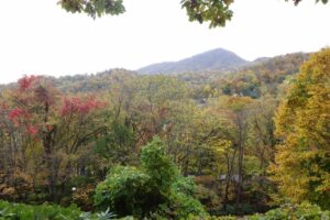 旭山紅葉情報2023年10月27日17山紅葉坂から藻岩山を望む