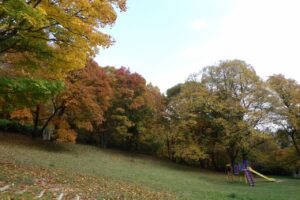 旭山紅葉情報2023年10月28日16遊具広場